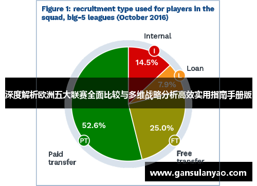 深度解析欧洲五大联赛全面比较与多维战略分析高效实用指南手册版