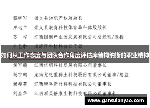 如何从工作态度与团队合作角度评估库普梅纳斯的职业精神